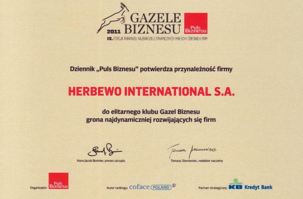 Gazele Biznesu 2011