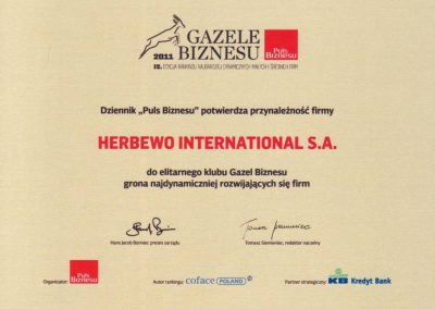 Gazele Biznesu 2011