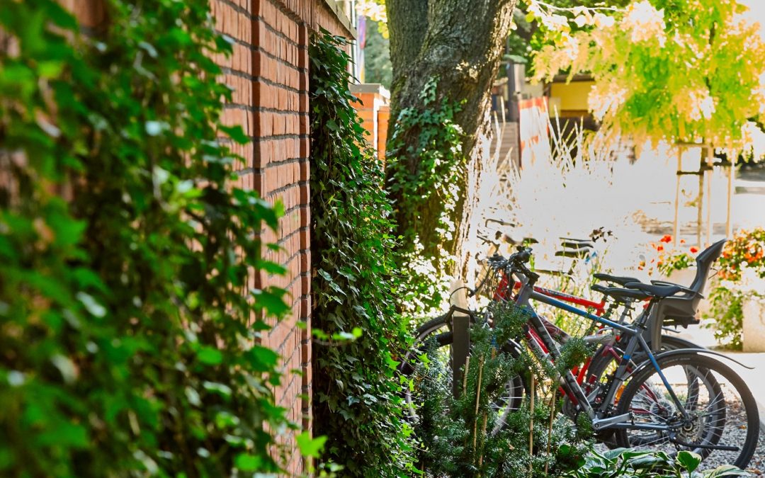 Cloakrooms and showers for cyclists in Herbewo Office Centre