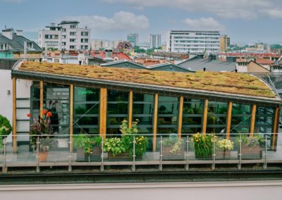 Zielone Tarasy Duży