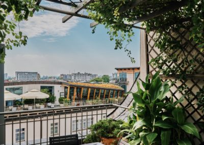 Zieleń_2023 (2) Duży