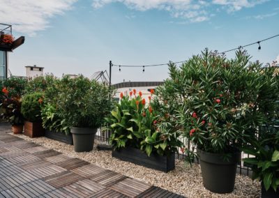 Zieleń_2023 (3) Duży