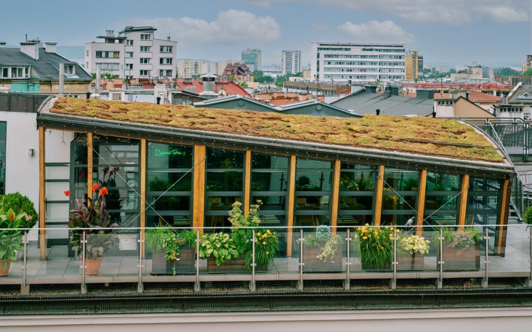 Resto Bar Gallery Zielone Tarasy