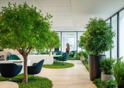 Zieleń w biurze – czemu jest ważna? Jak wpływa na komfort pracy?